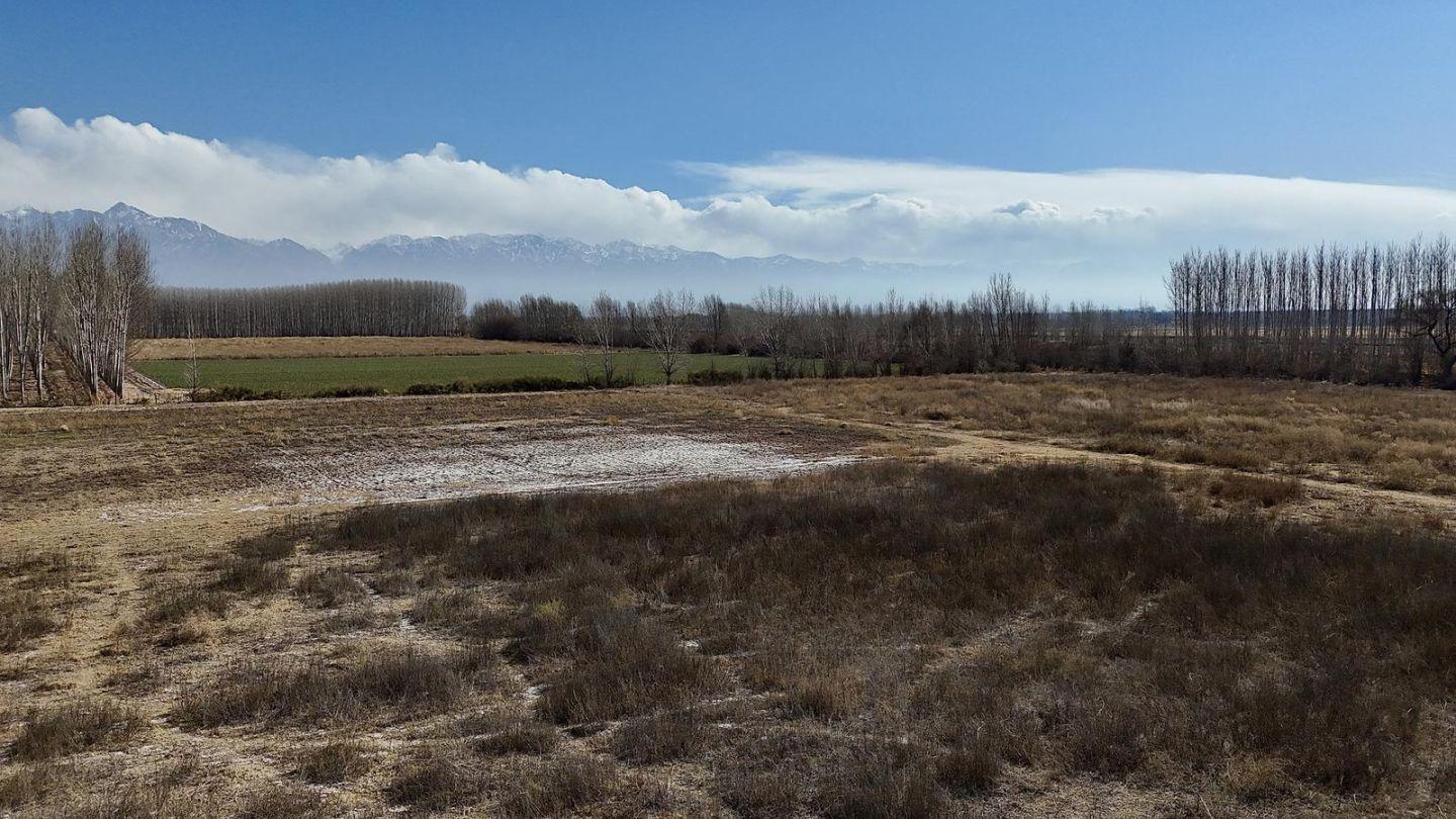 Foto de Oportunidad Finca de 20 ha en San Carlos, zona productiva, derecho de, imagen 5