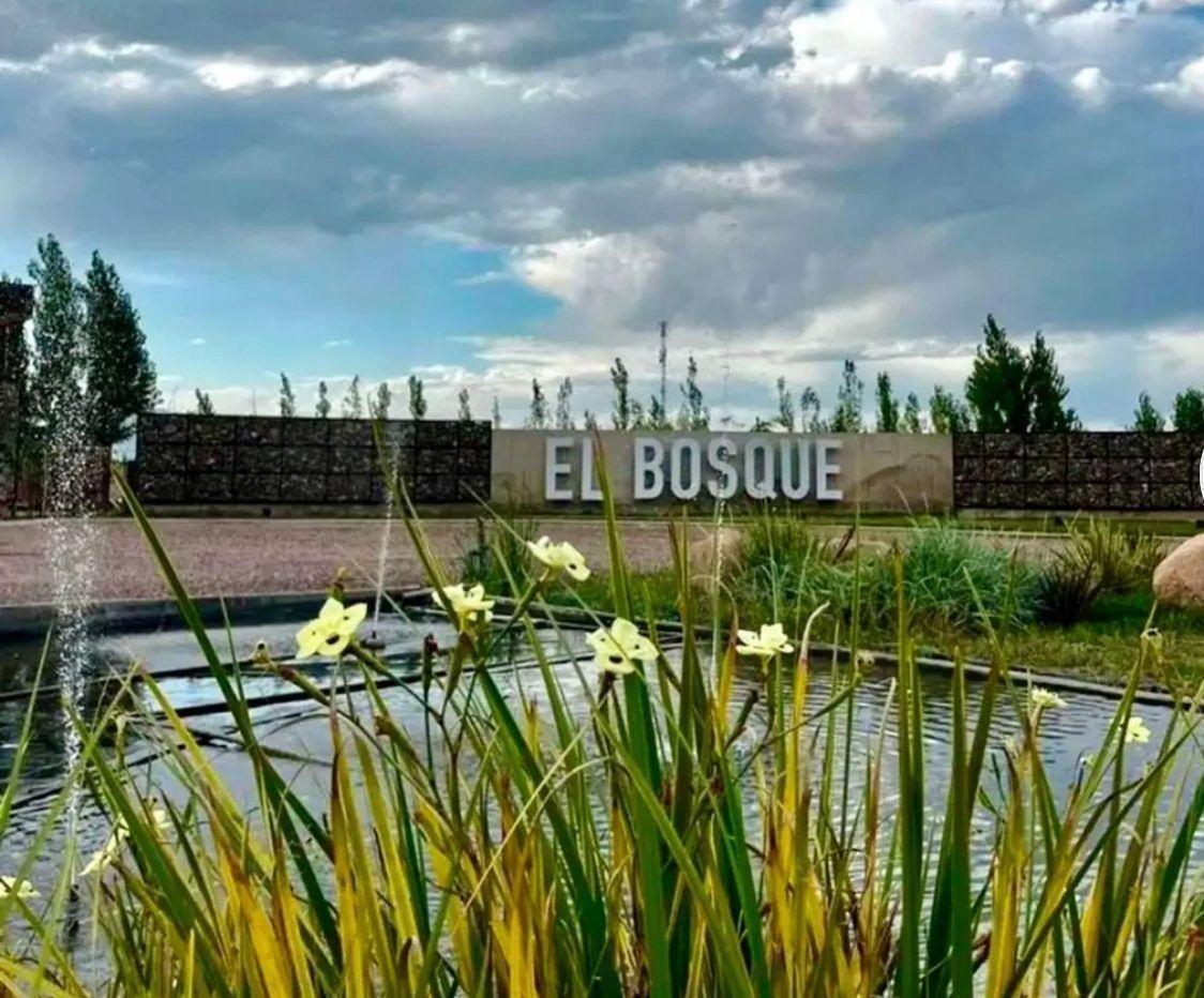 Foto de Terreno en Rodeo Del Medio, imagen 1