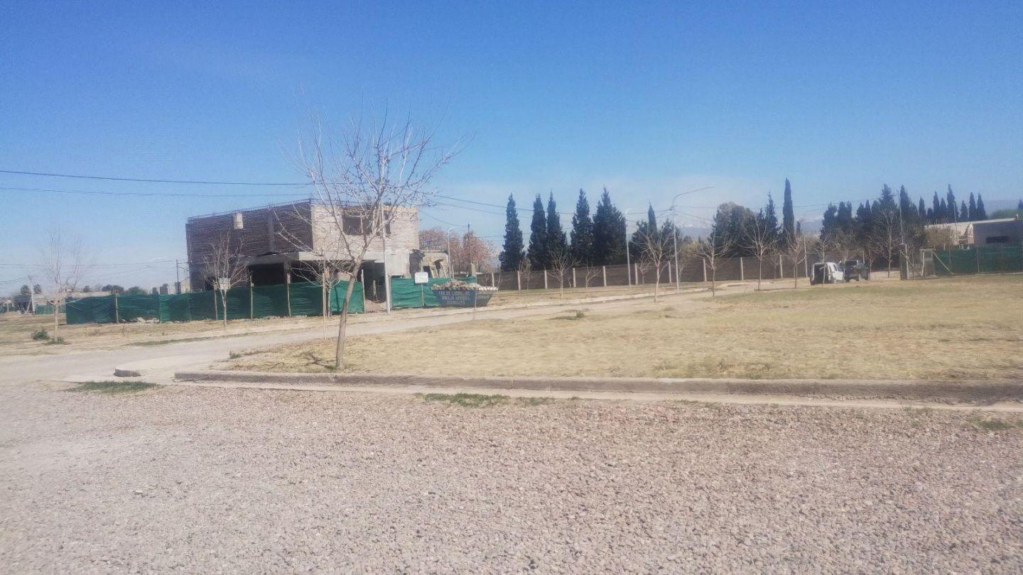 Foto de Terreno - El Sauce, imagen 3