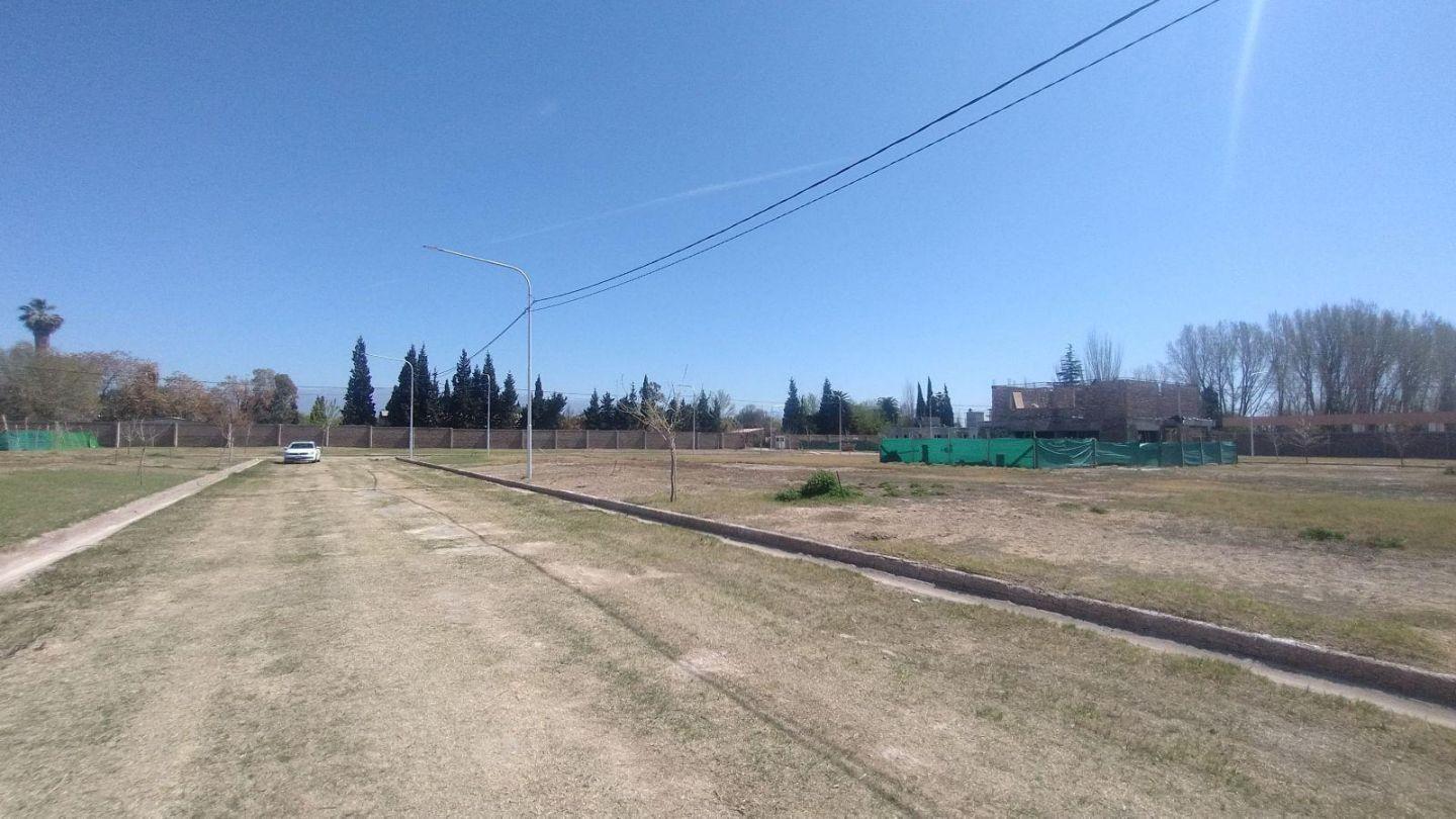 Foto de Terreno - El Sauce, imagen 2