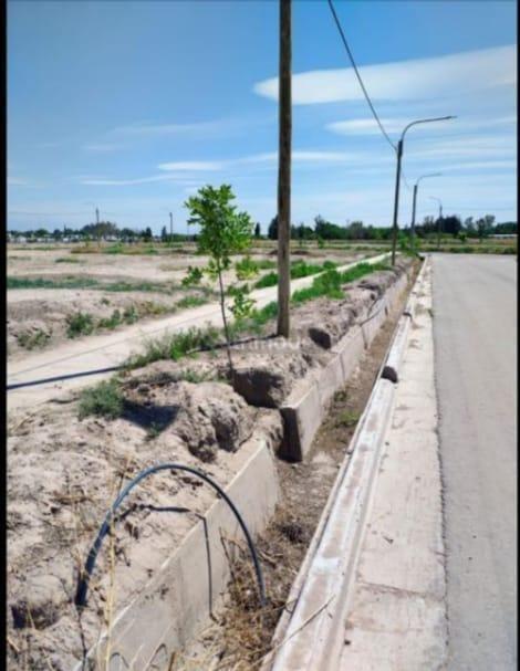 Foto de Terreno - Buena Nueva, imagen 5