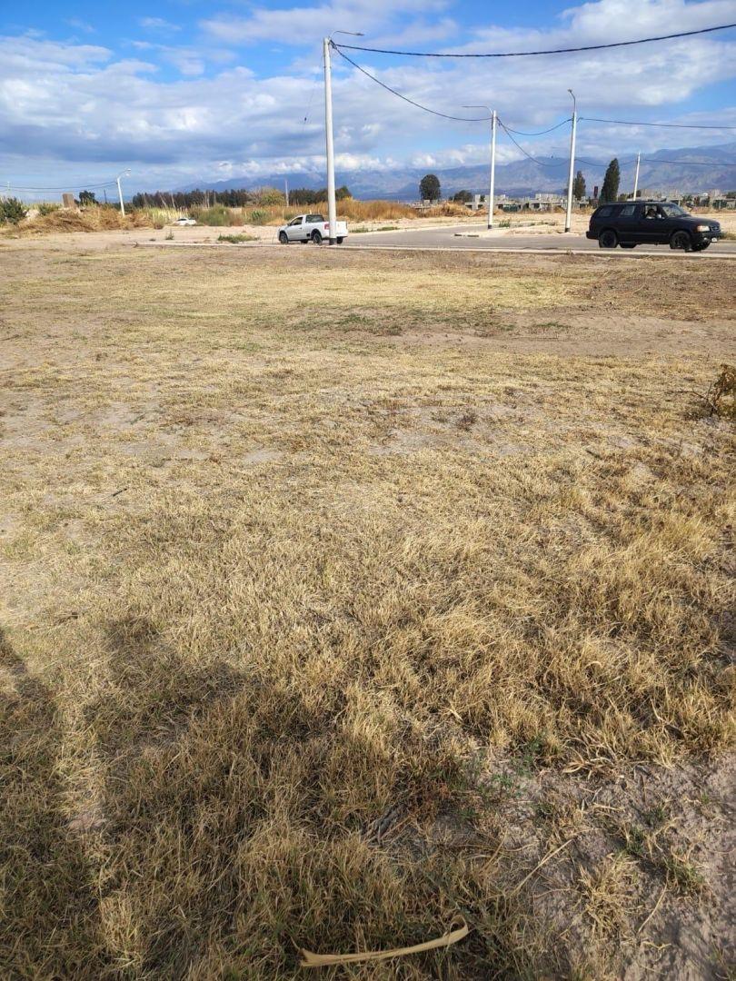 Foto de Terreno - Buena Nueva, imagen 4