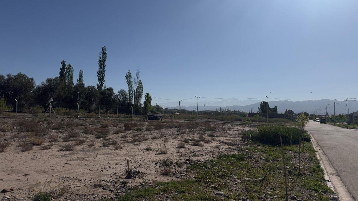 Foto de Terreno - Mayor Drummond, imagen 3