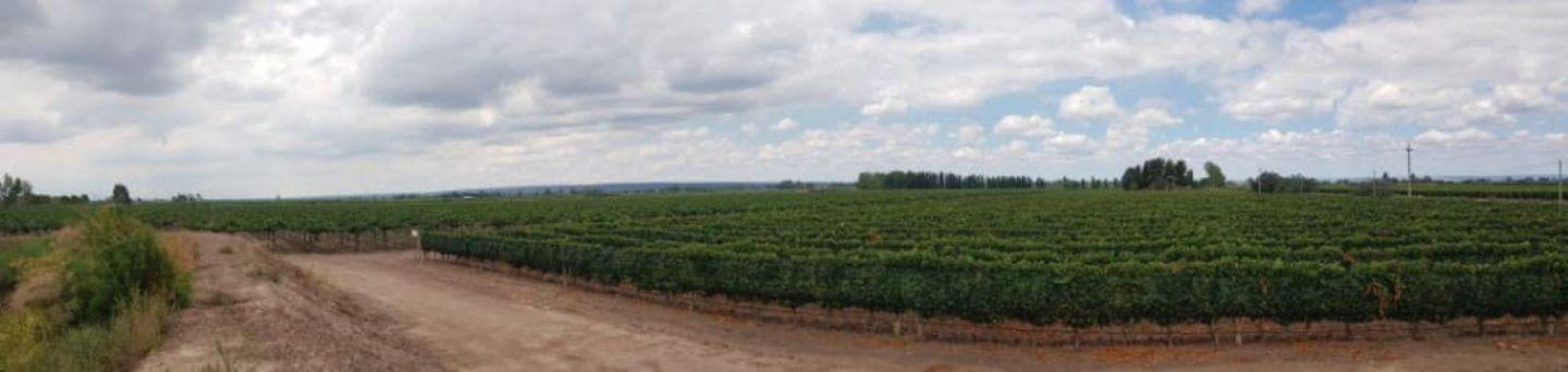 Foto de Terreno - Ugarteche, imagen 2