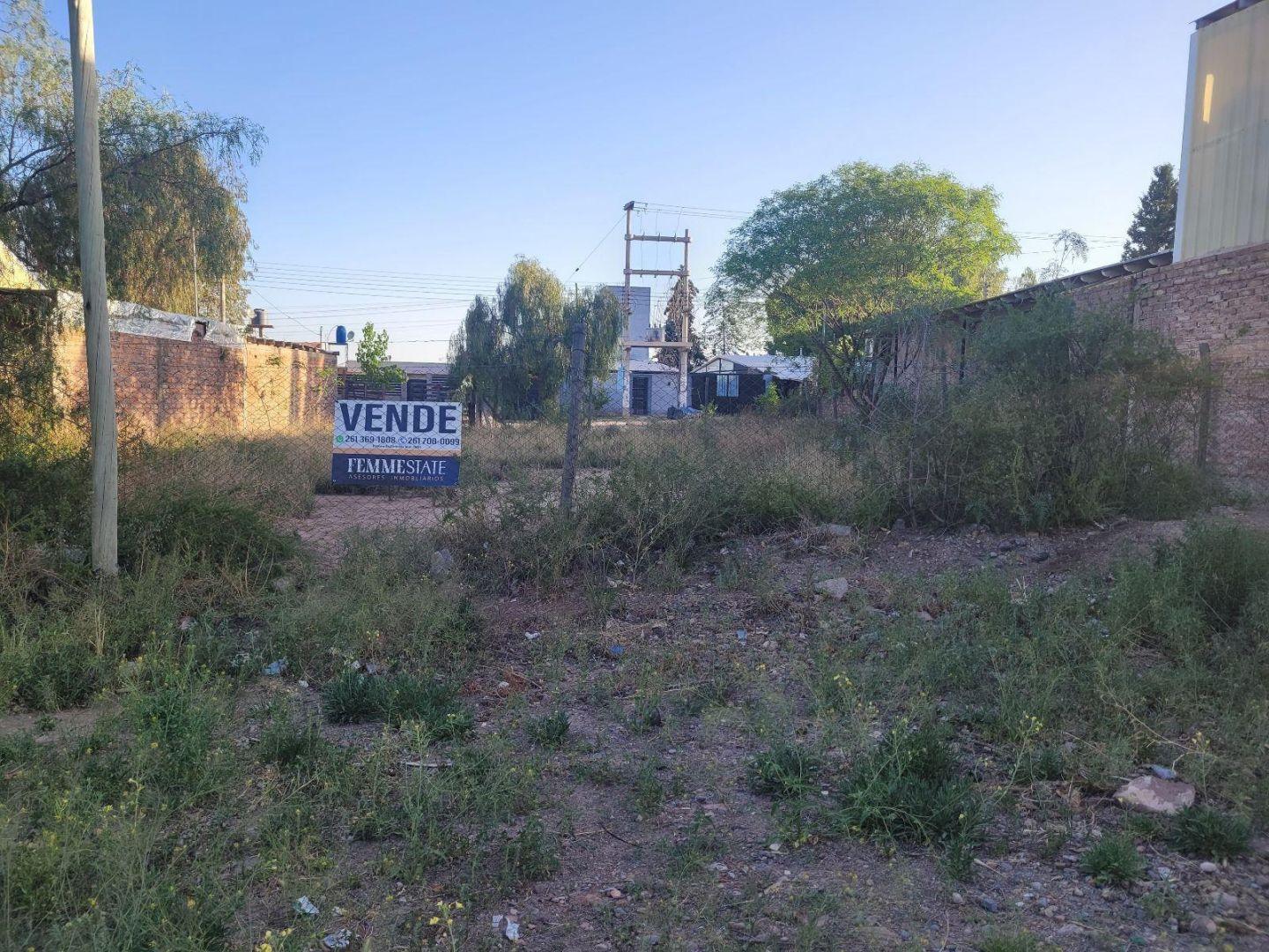 Foto de Terreno - Lujan De Cuyo, imagen 1