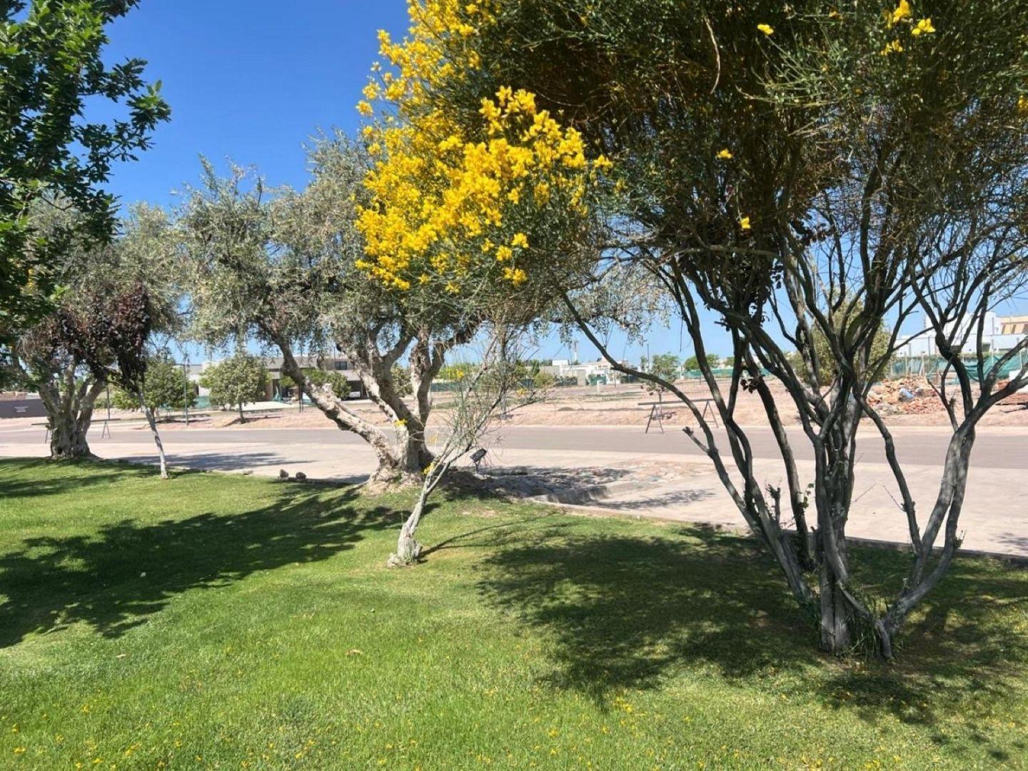Foto de Terreno - Rodeo Del Medio, imagen 2