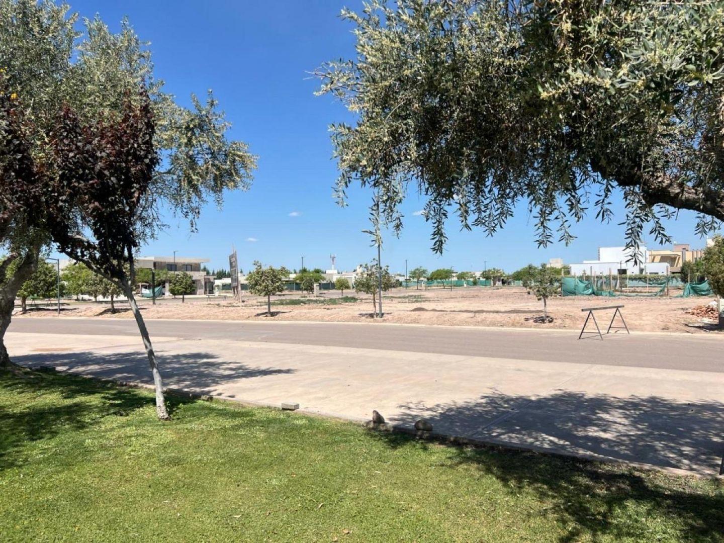 Foto de Terreno - Rodeo Del Medio, imagen 5