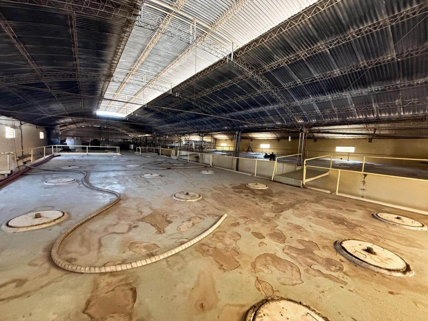 Foto de BODEGA TRASLADISTA OPERATIVA EN VENTA SAN MARTÍN, imagen 4