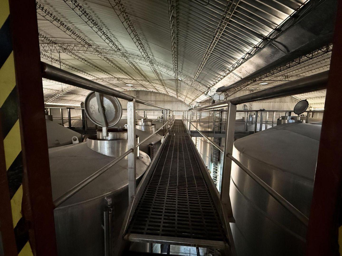 Foto de BODEGA TRASLADISTA OPERATIVA EN VENTA SAN MARTÍN, imagen 5
