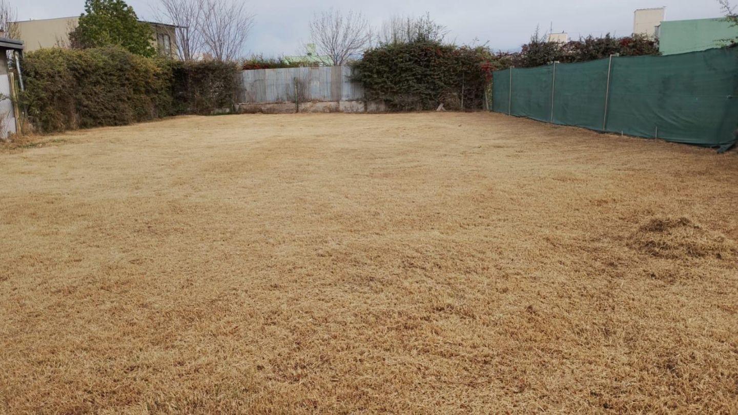 Foto de Terreno - Los Corralitos, imagen 2
