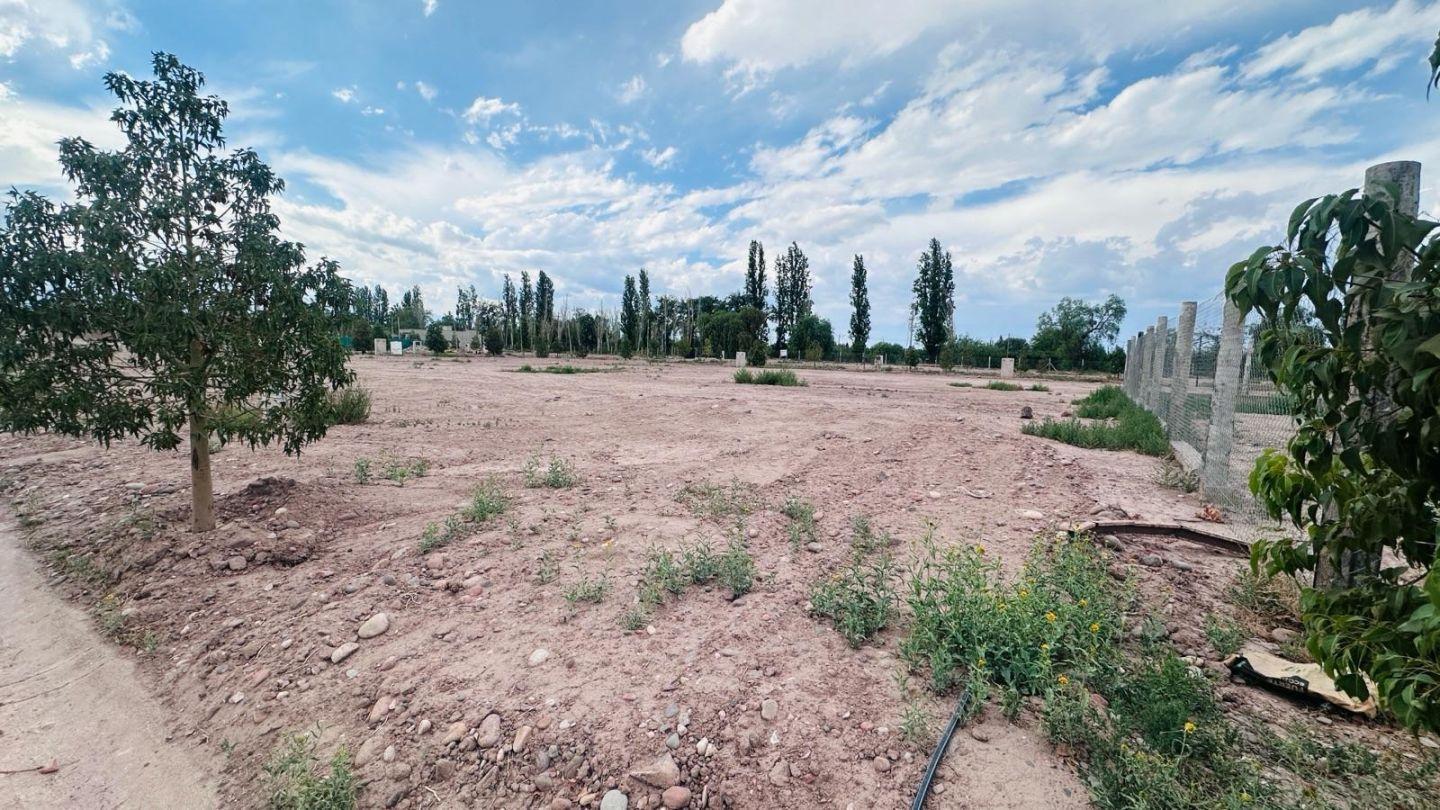 Foto de Terreno - Coquimbito, imagen 5