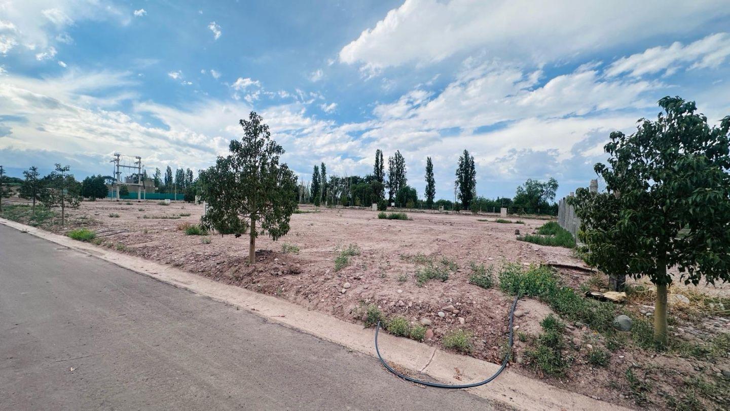 Foto de Terreno - Coquimbito, imagen 2