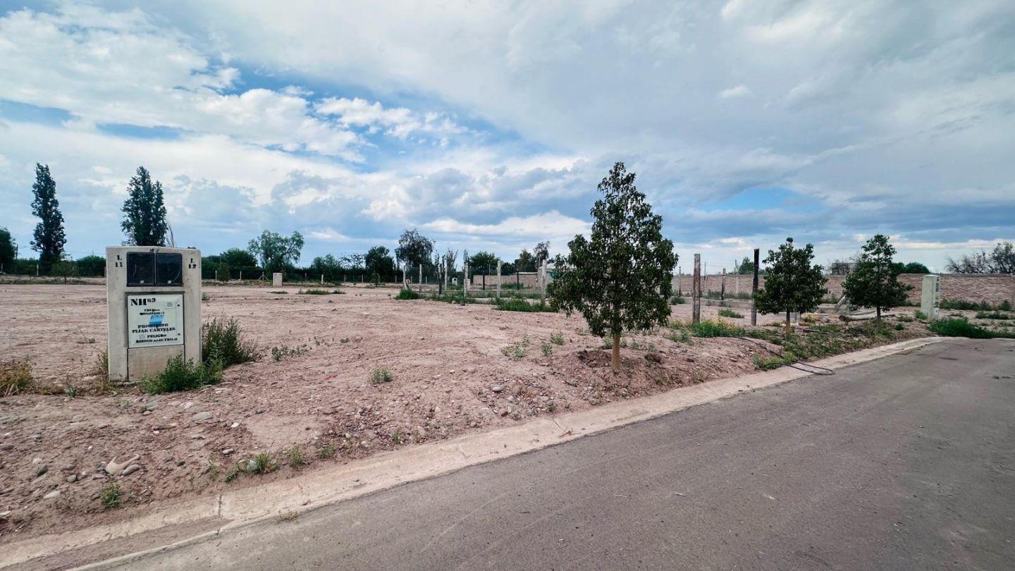 Foto de Terreno - Coquimbito, imagen 4
