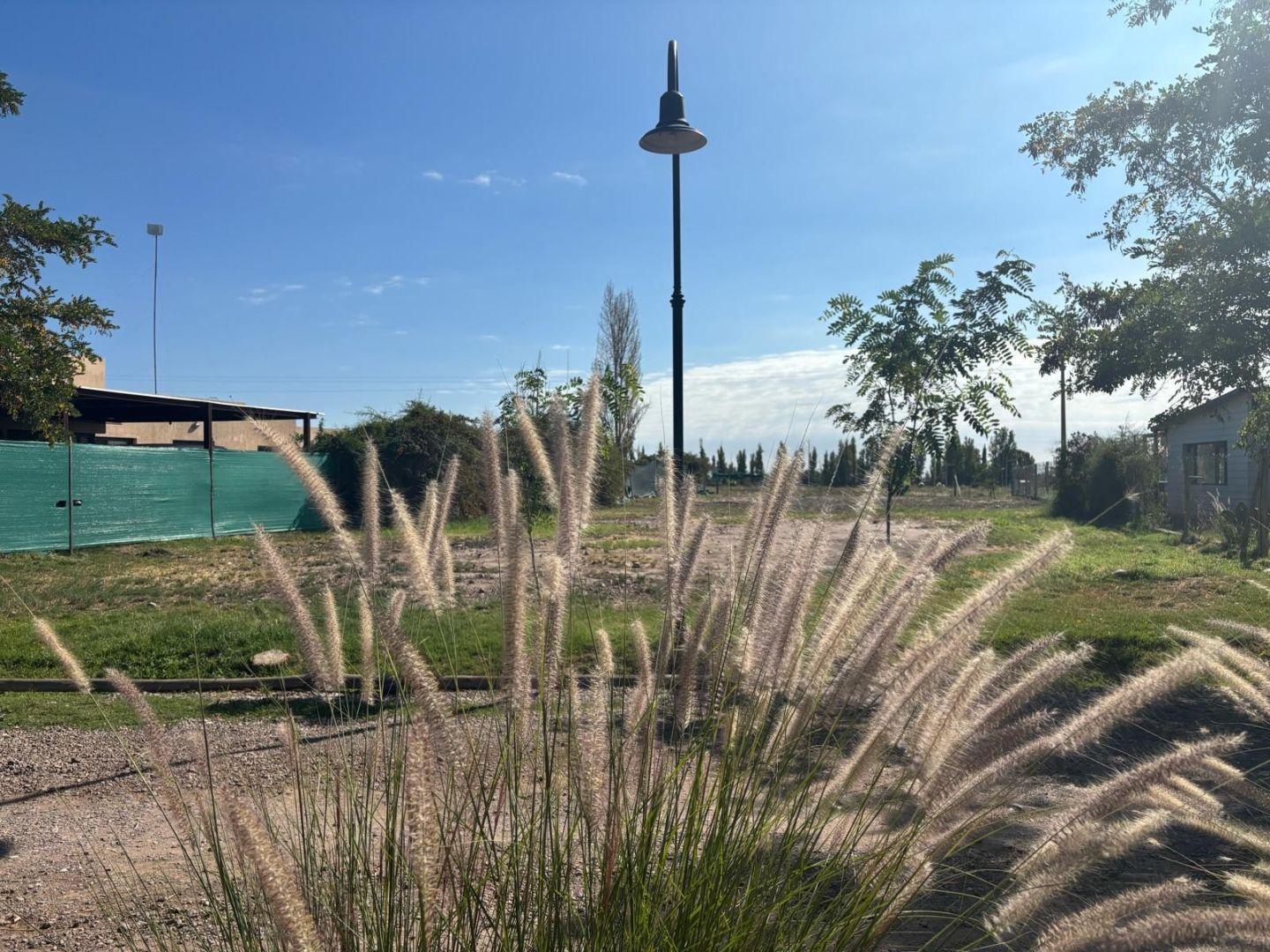 Foto de Terreno - Carrodilla, imagen 5