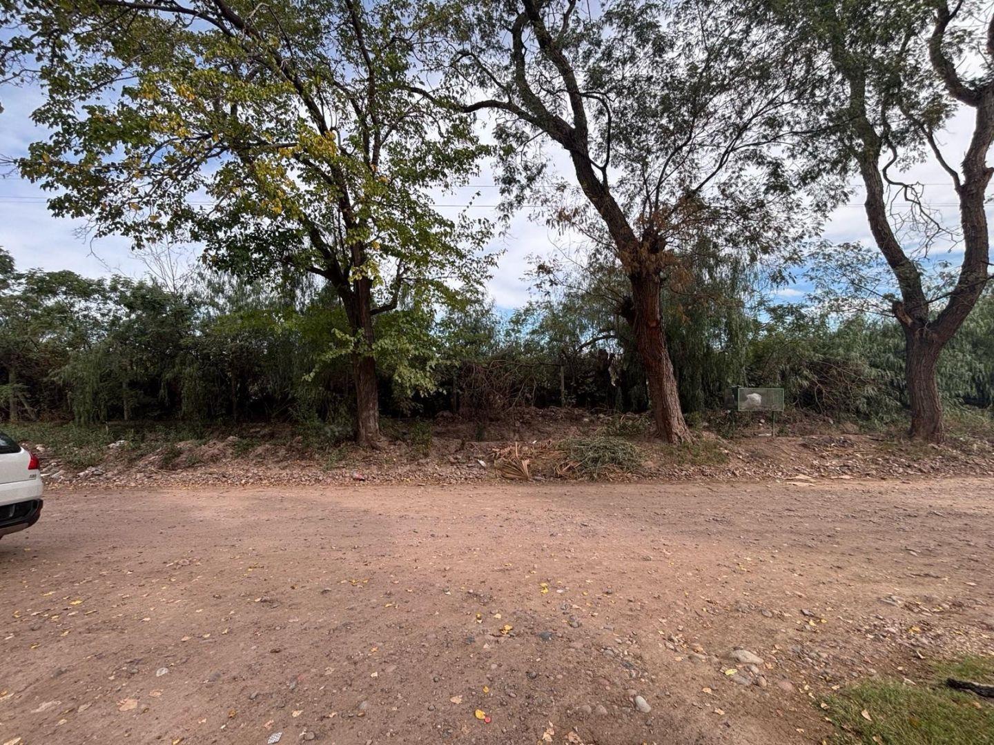Foto de Terreno - Coquimbito, imagen 3