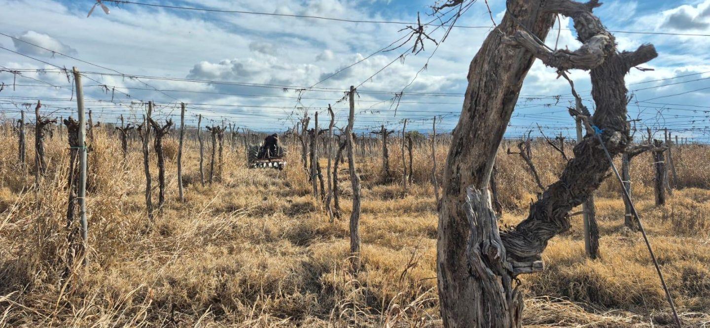 Foto de Terreno - Ugarteche, imagen 3
