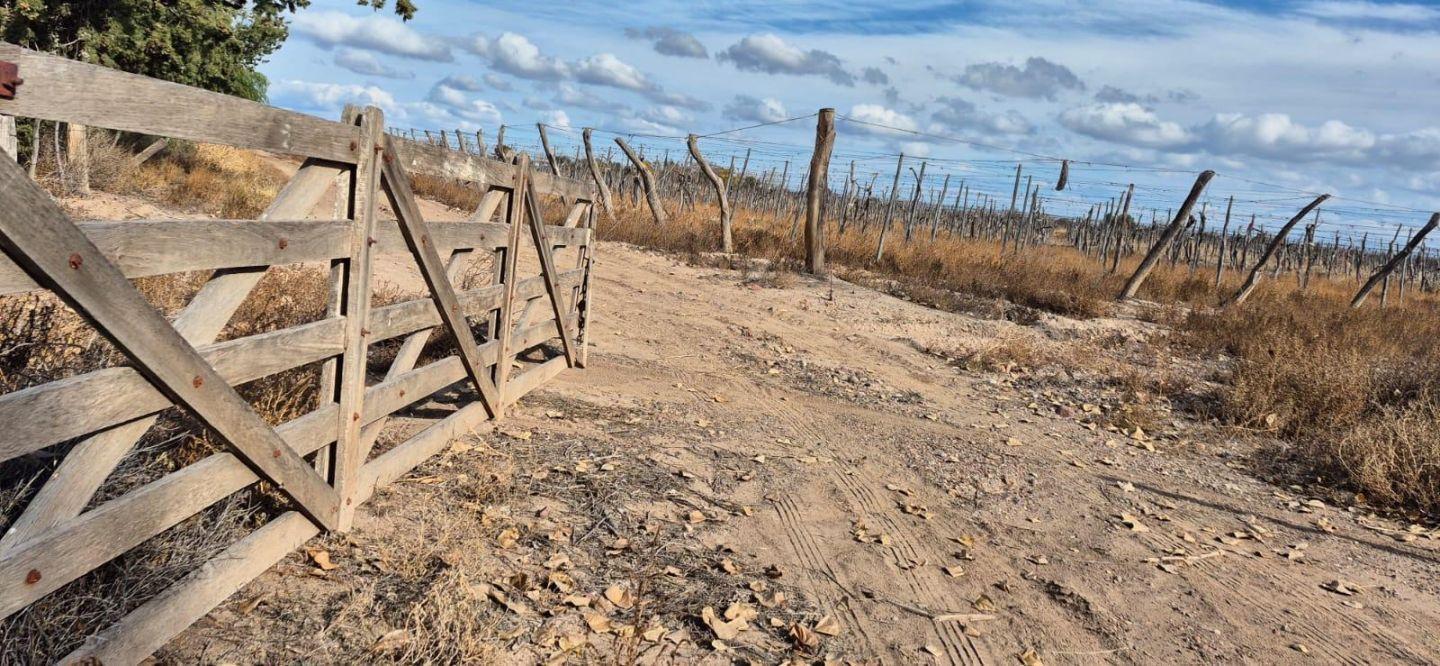 Foto de Terreno - Ugarteche, imagen 4