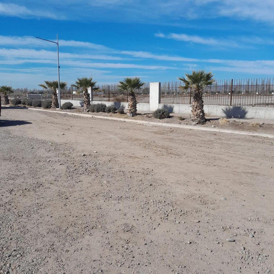 Foto de Terreno en Calle Terrada, imagen 3