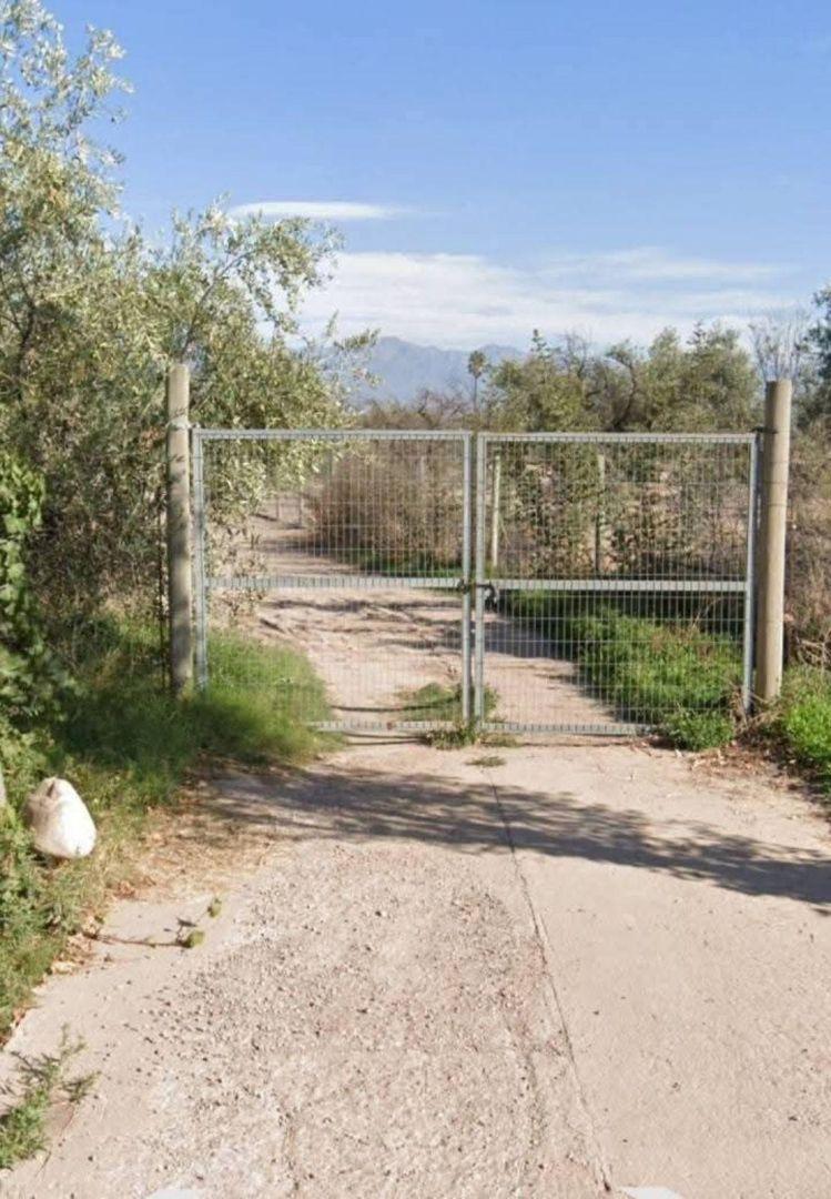 Foto de Terreno - Lujan De Cuyo, imagen 2