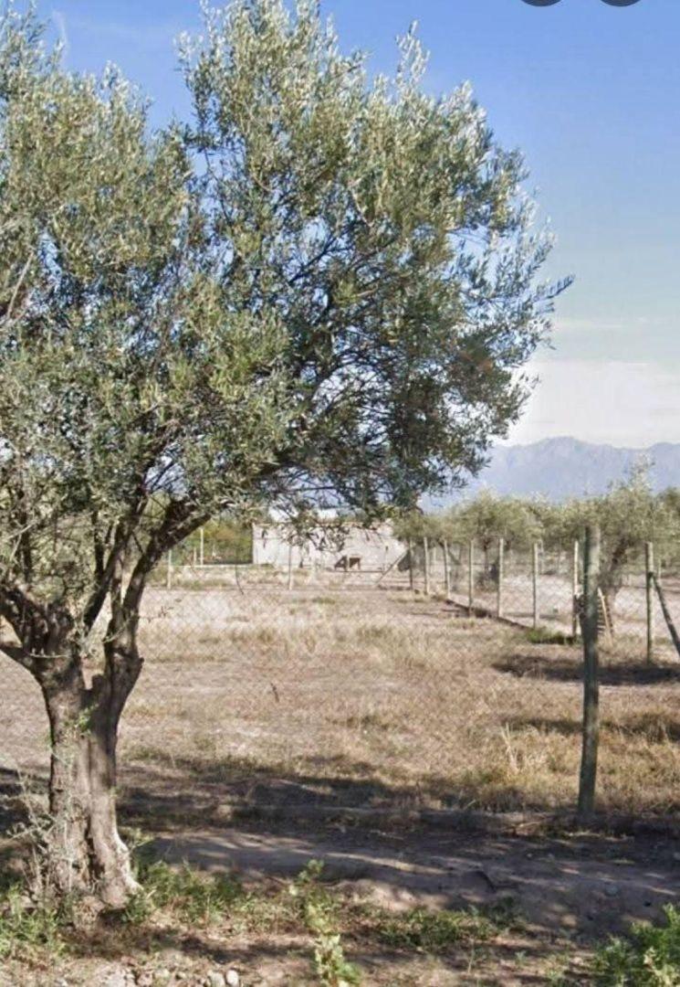 Foto de Terreno - Lujan De Cuyo, imagen 3