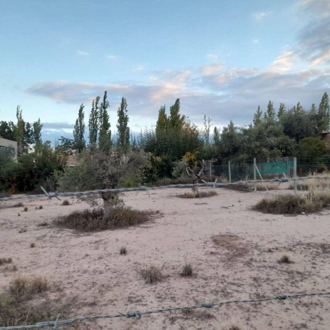Foto de Terreno - Lujan De Cuyo, imagen 1