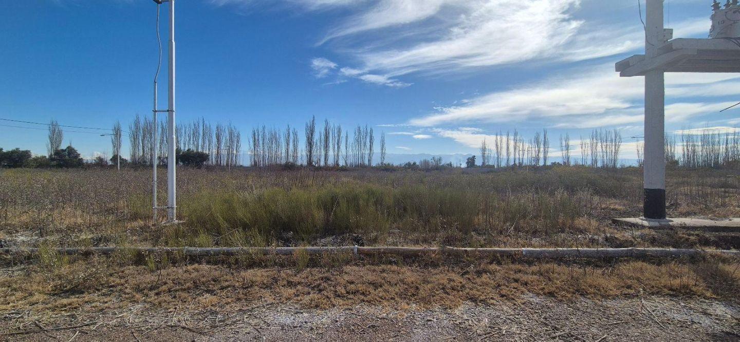 Foto de Terreno - Los Corralitos, imagen 2