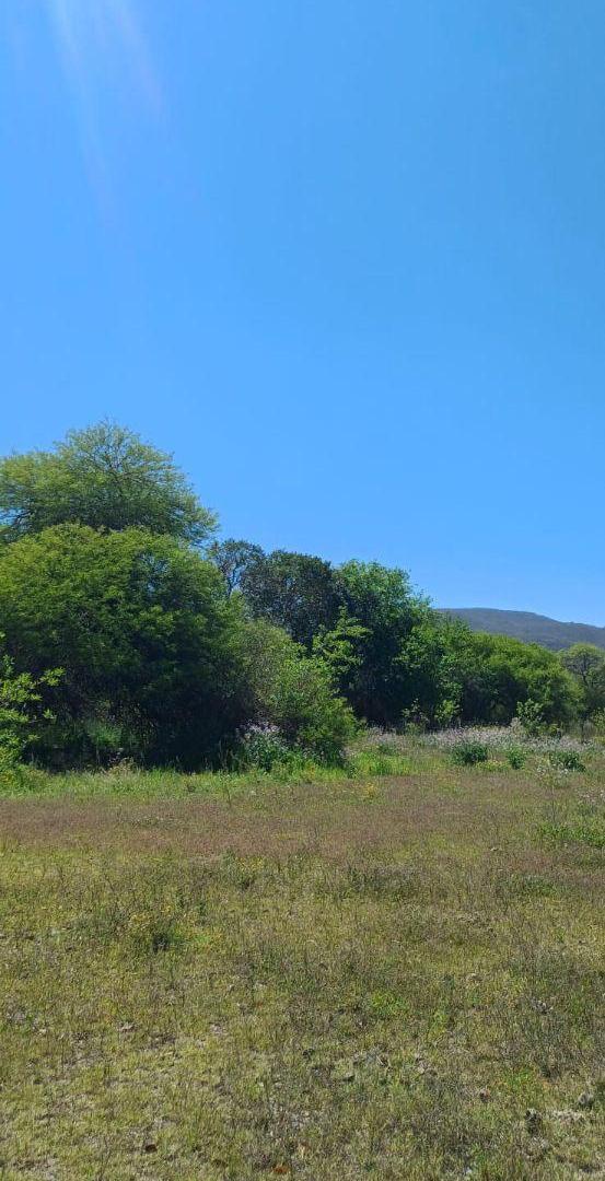 Foto de Terreno 400m2 barrio Miraflores Cerrillos, imagen 3