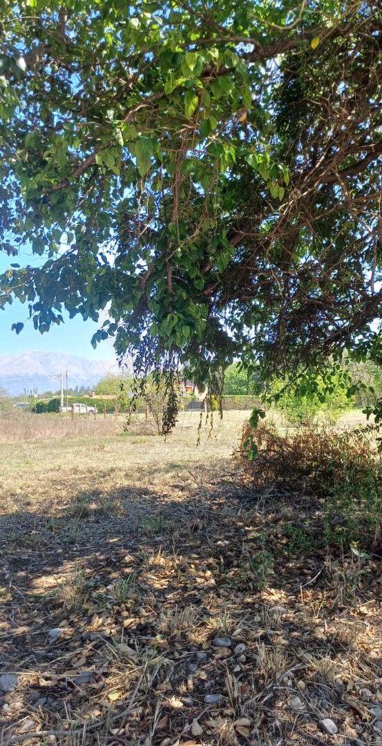 Foto de Terreno 400m2 barrio Miraflores Cerrillos, imagen 4