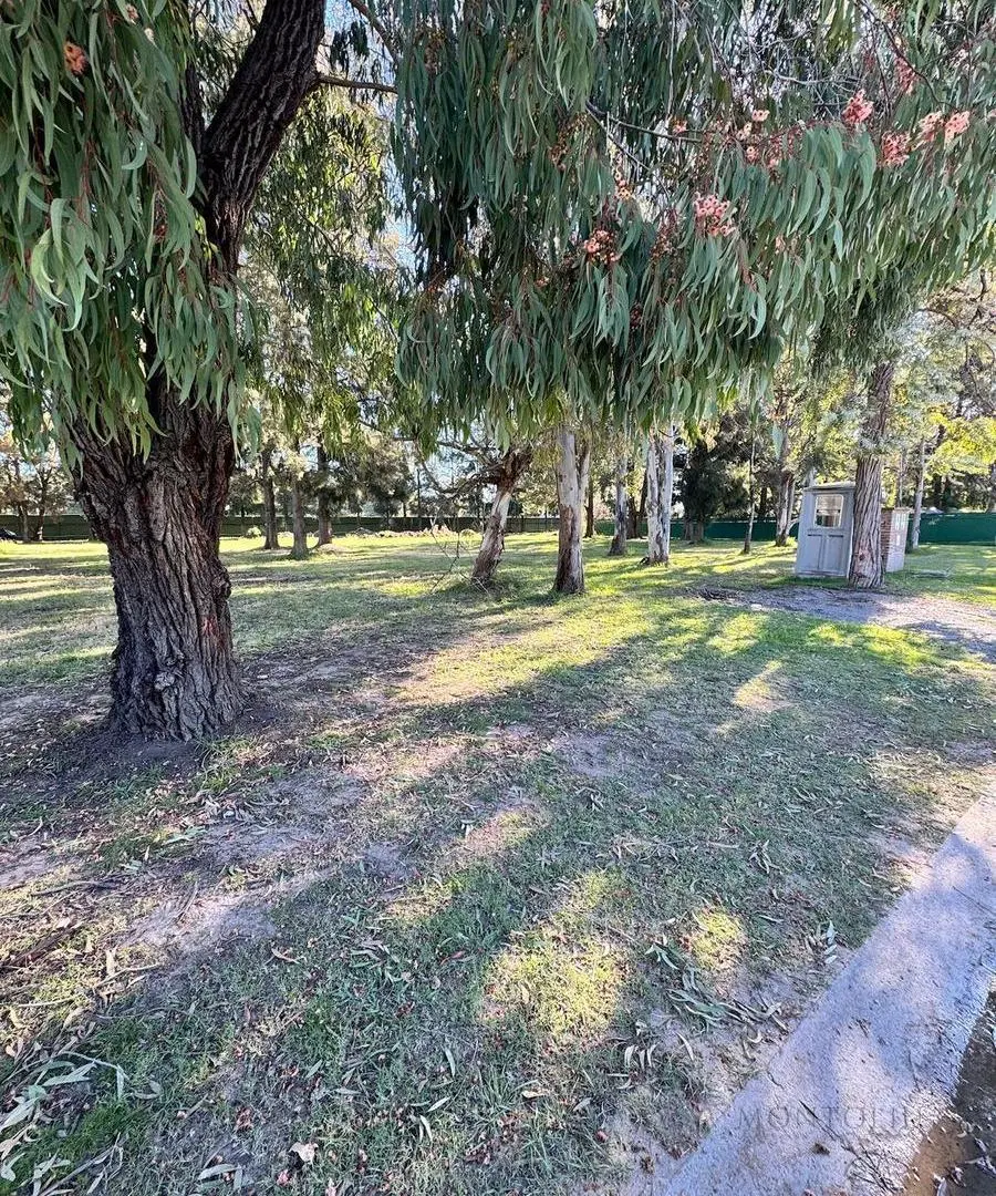 Doble Terreno en Venta - St. Thomas Oeste 4