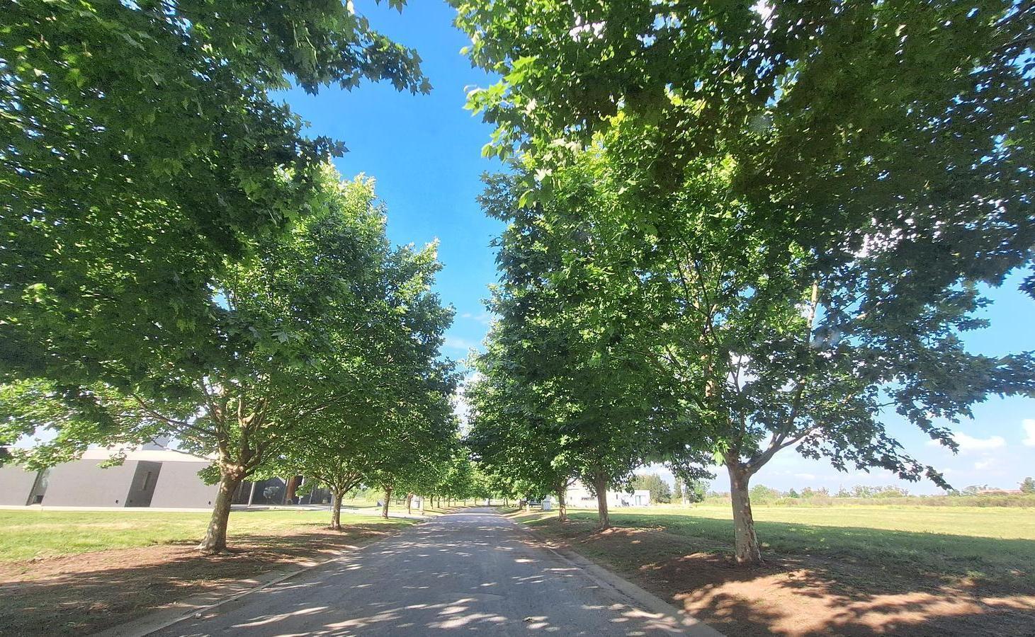 VENTA LOTE DE TERRENO EN LUJAN EVERLINKS GOLF BARRIO CERRADO