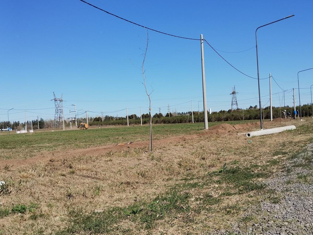 Venta/financiacion Lote Residencial Palo Alto Pueblo Esther Lote E15 5
