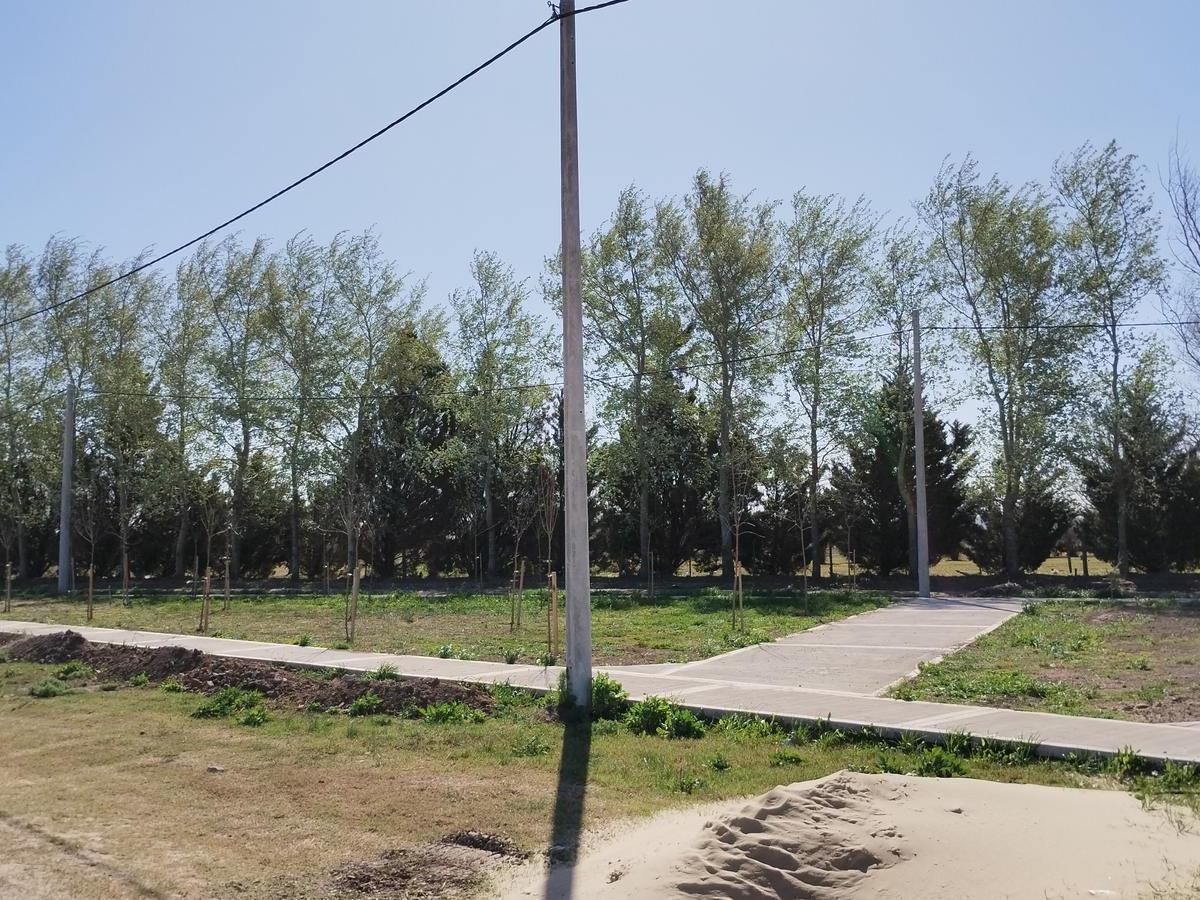 Venta/financiacion Lote Residencial Palo Alto Pueblo Esther Lote E15 4