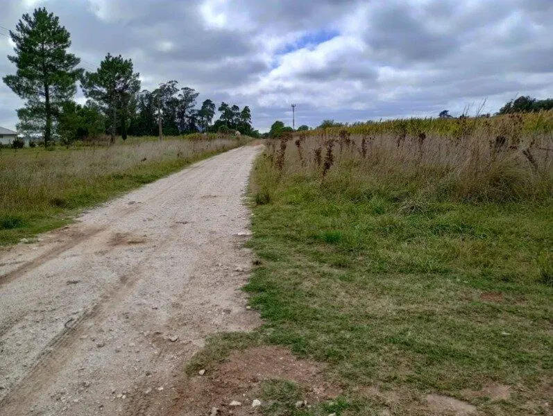 Chacra lote 4 hectareas Los Pinos 8