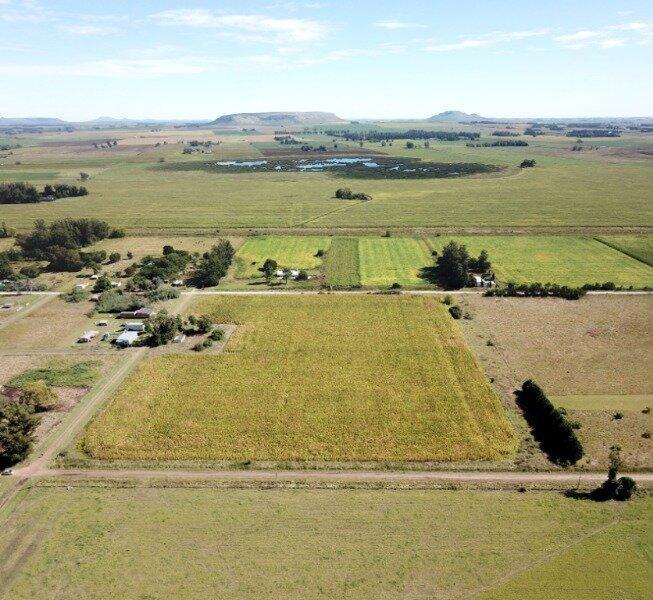 Foto de Chacra lote 4 hectareas Los Pinos, imagen 1