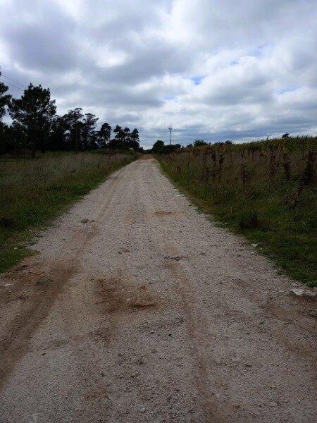 Foto de Chacra lote 4 hectareas Los Pinos, imagen 4