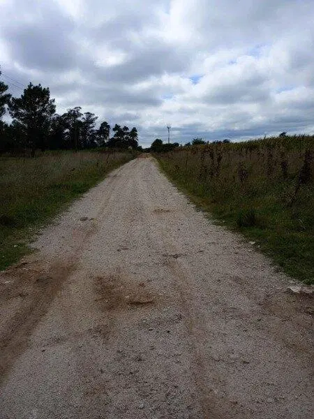 Chacra lote 4 hectareas Los Pinos 4