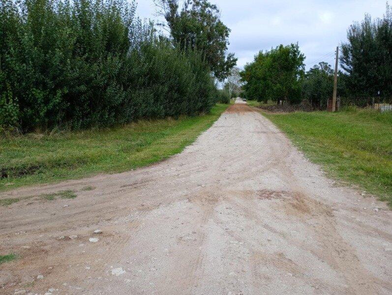 Foto de Chacra lote 4 hectareas Los Pinos, imagen 5