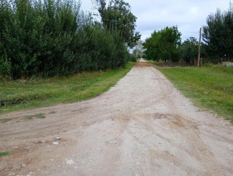 Chacra lote 4 hectareas Los Pinos 5