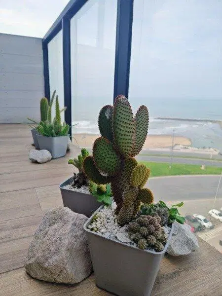 Venta departamento 2 ambientes frente al mar 4