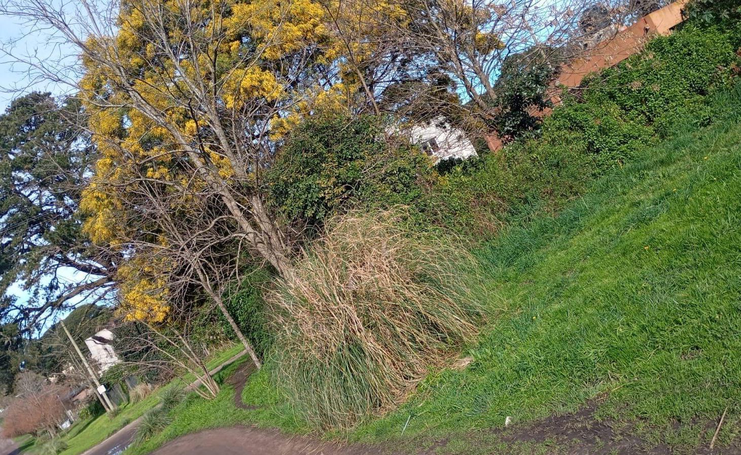 Foto de VENTA LOTE EN BARRIO ACANTILADOS, imagen 5