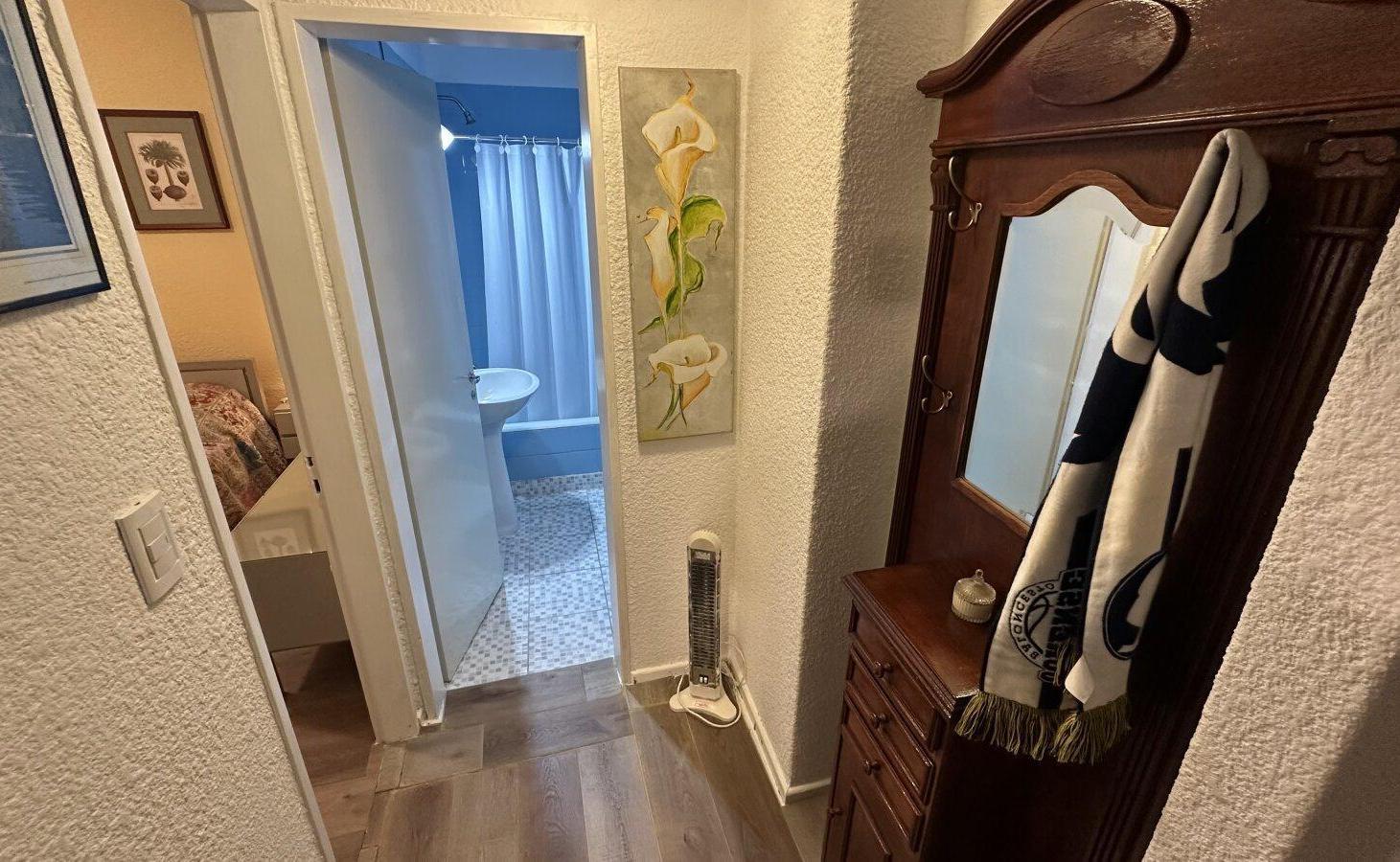 Foto de DEPARTAMENTO 2 AMBIENTES CON LAVADERO – TORREÓN DEL MONJE, imagen 1