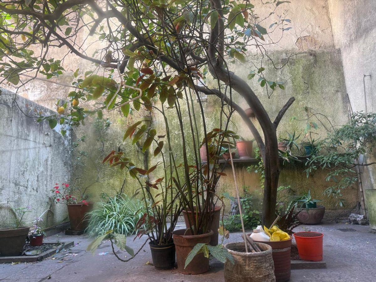 Foto de MONOAMBIENTE AMPLIO, imagen 4