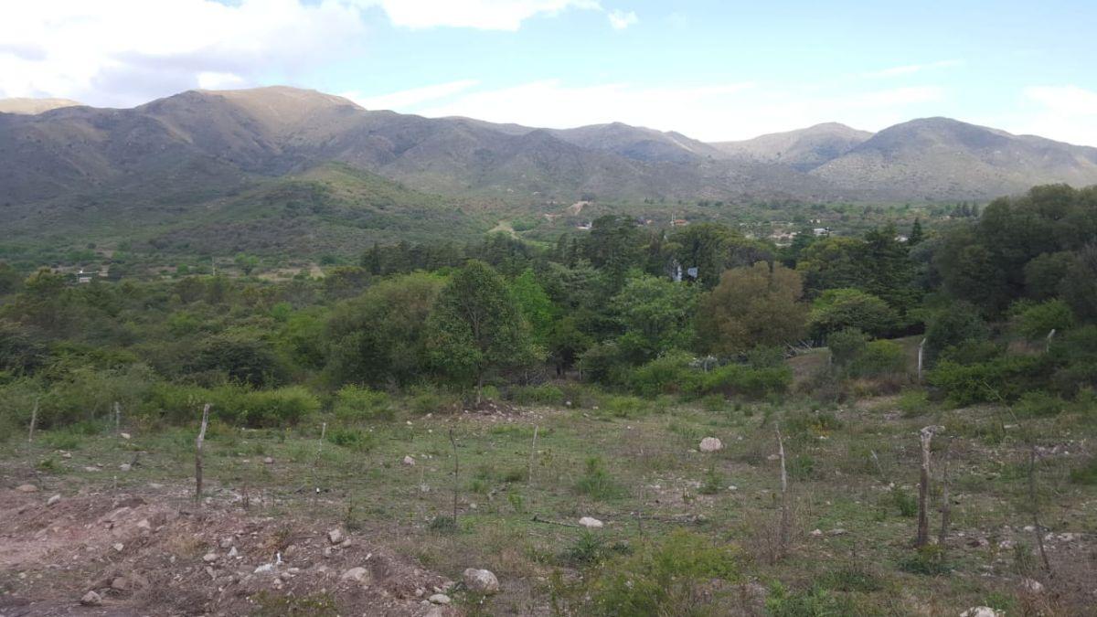 Foto de Villa Giardino Vendo Campo Rural 16 Hectáreas, inversionista., imagen 4