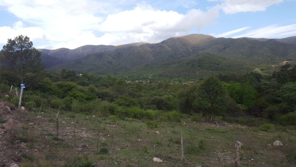 Foto de Villa Giardino Vendo Campo Rural 16 Hectáreas, inversionista., imagen 2