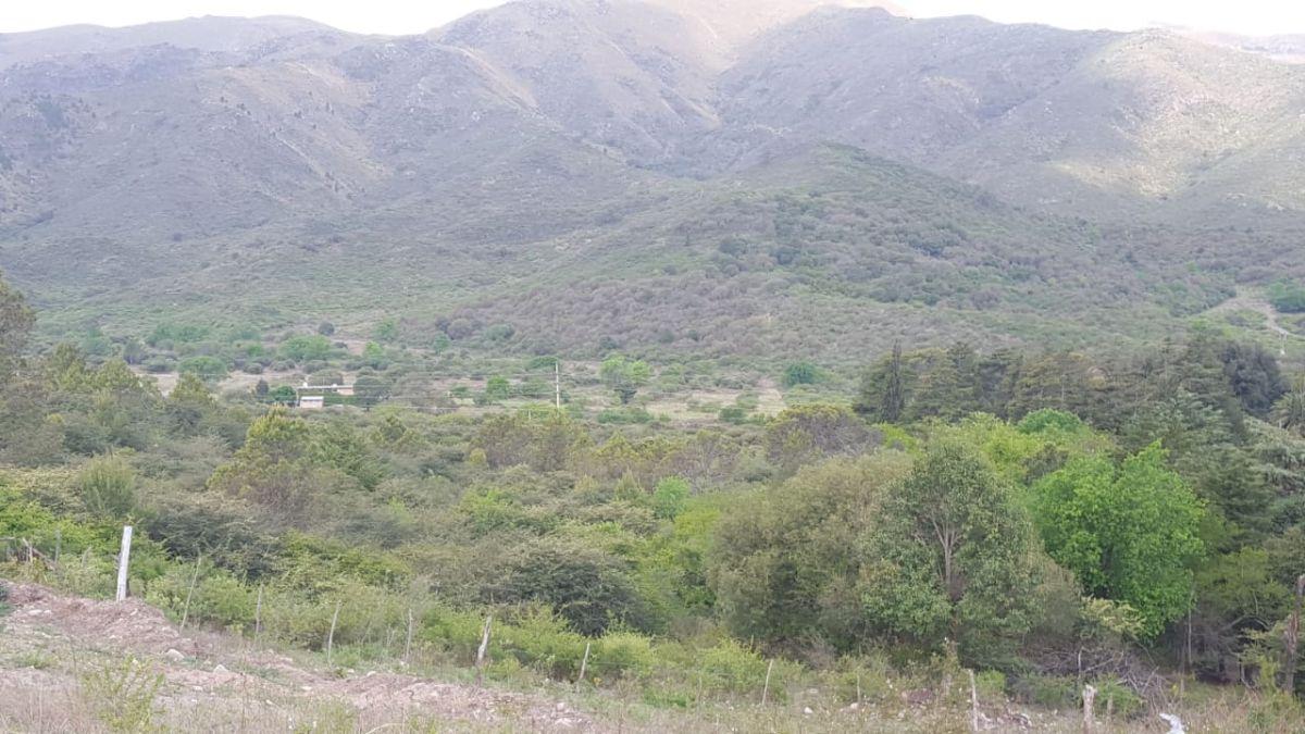 Foto de Villa Giardino Vendo Campo Rural 16 Hectáreas, inversionista., imagen 1