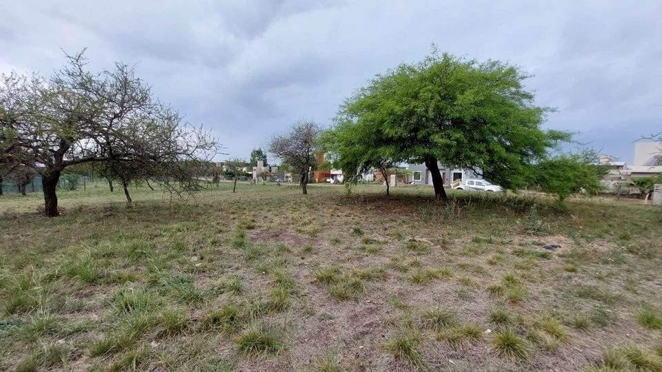 Se venden excelentes lotes con ESCRITURA en B BELA VISTA, SOBRE RUTA E53, RIO CEBALLOS.