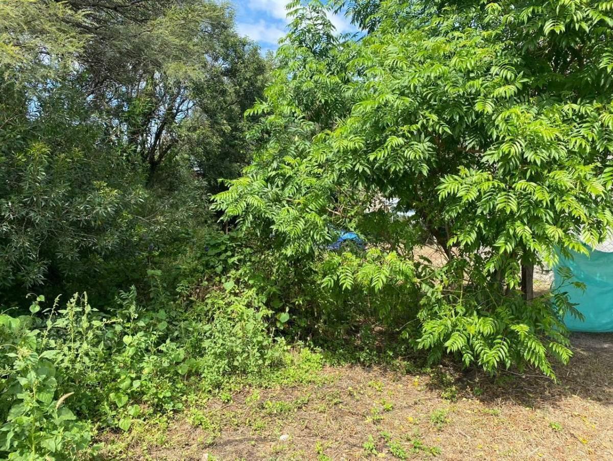 Vendo Lindo Terreno en Salsipuedes en Barrio Villa Sol: 1