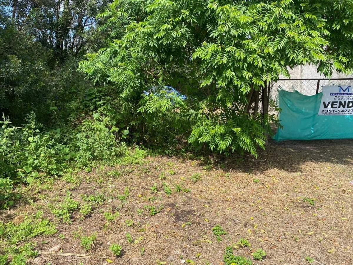 Vendo Lindo Terreno en Salsipuedes en Barrio Villa Sol: 4