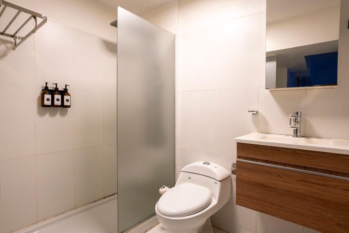 Foto de Palermo — Monoambiente amoblado y equipado — Temporario de 1 mes a 1 año, imagen 5