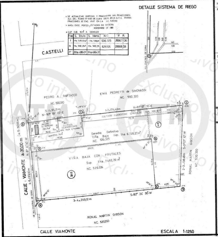 Foto de Terreno para desarrollo – Chacras de Coria (Viamonte) – Apto, imagen 1